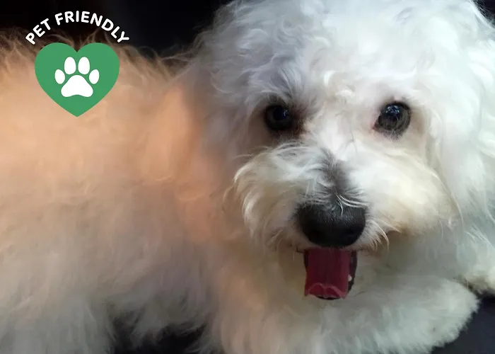 ゲストハウス 43 4*